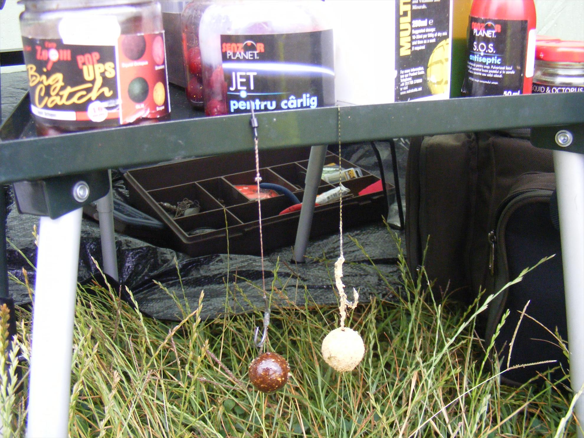 Moara Vlasiei-Dream place! - dscf1821.JPG